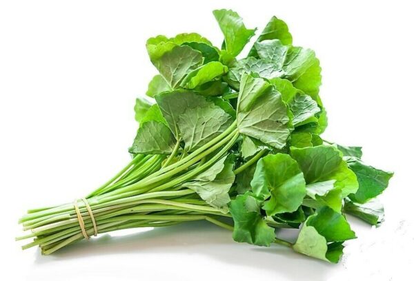 AyuPlus Pure Ceylon Gotu Kola Powder