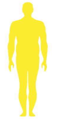 Risk to Overweight