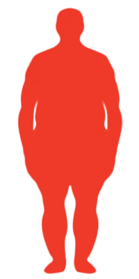Obese